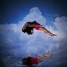 Just fly....